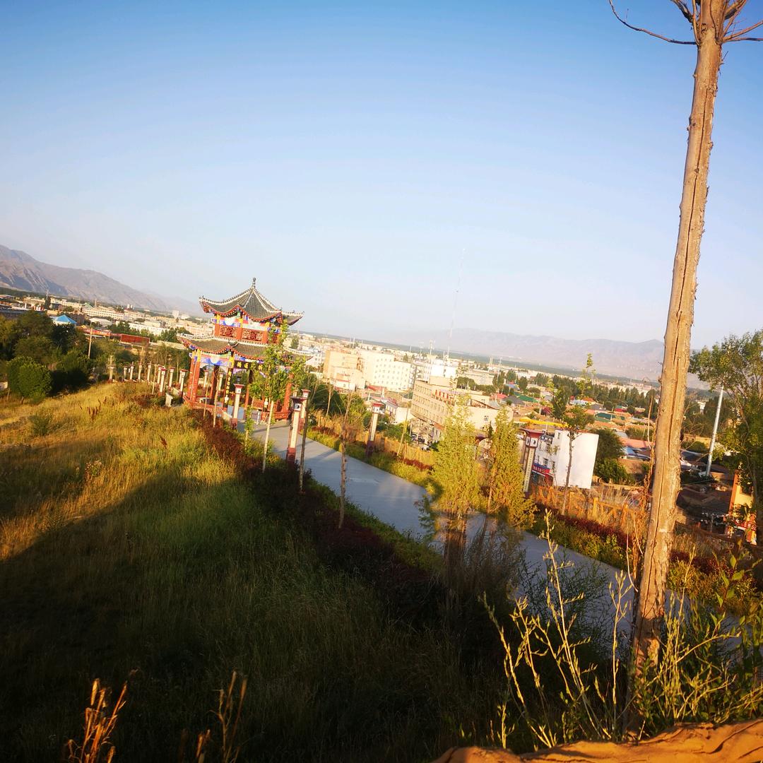 寻找未来不是梦