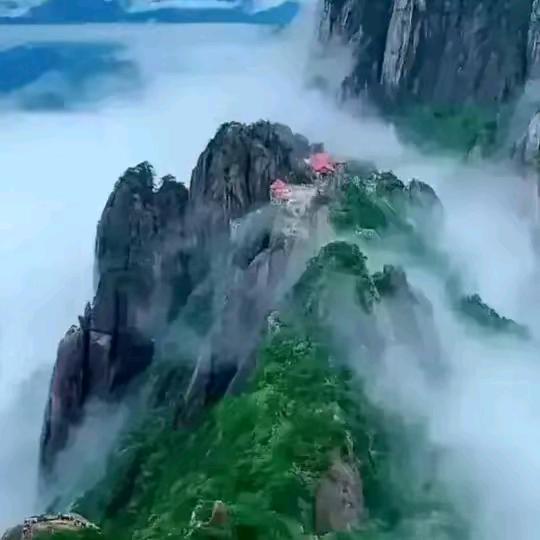 阿红红
