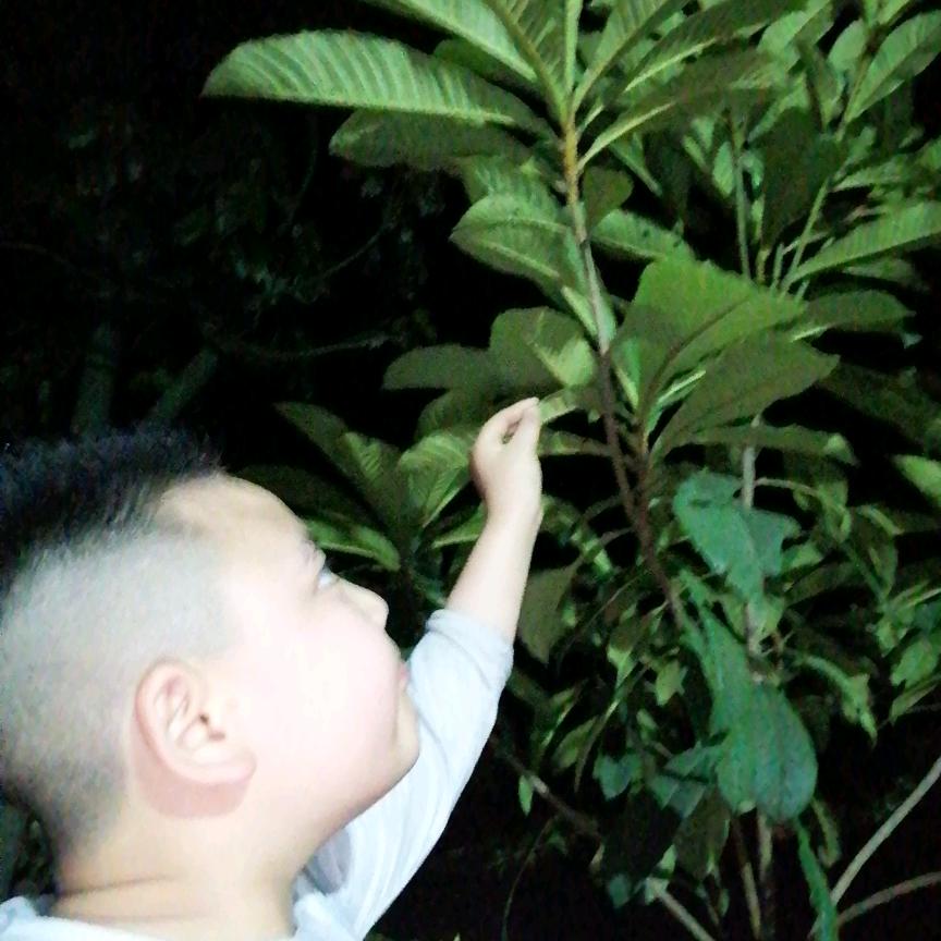 低调做人，一切会好