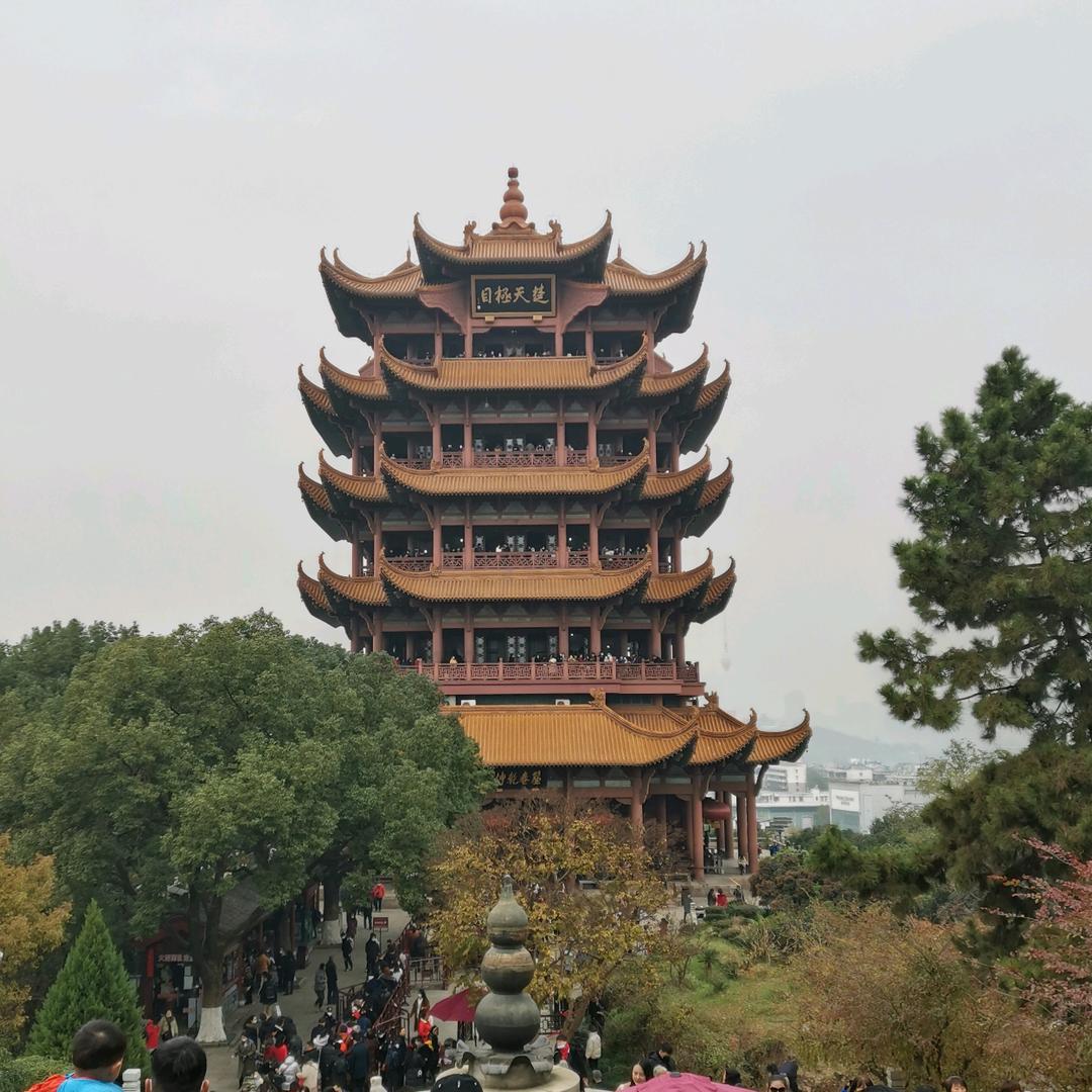辣根儿哥哥