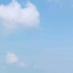 玲