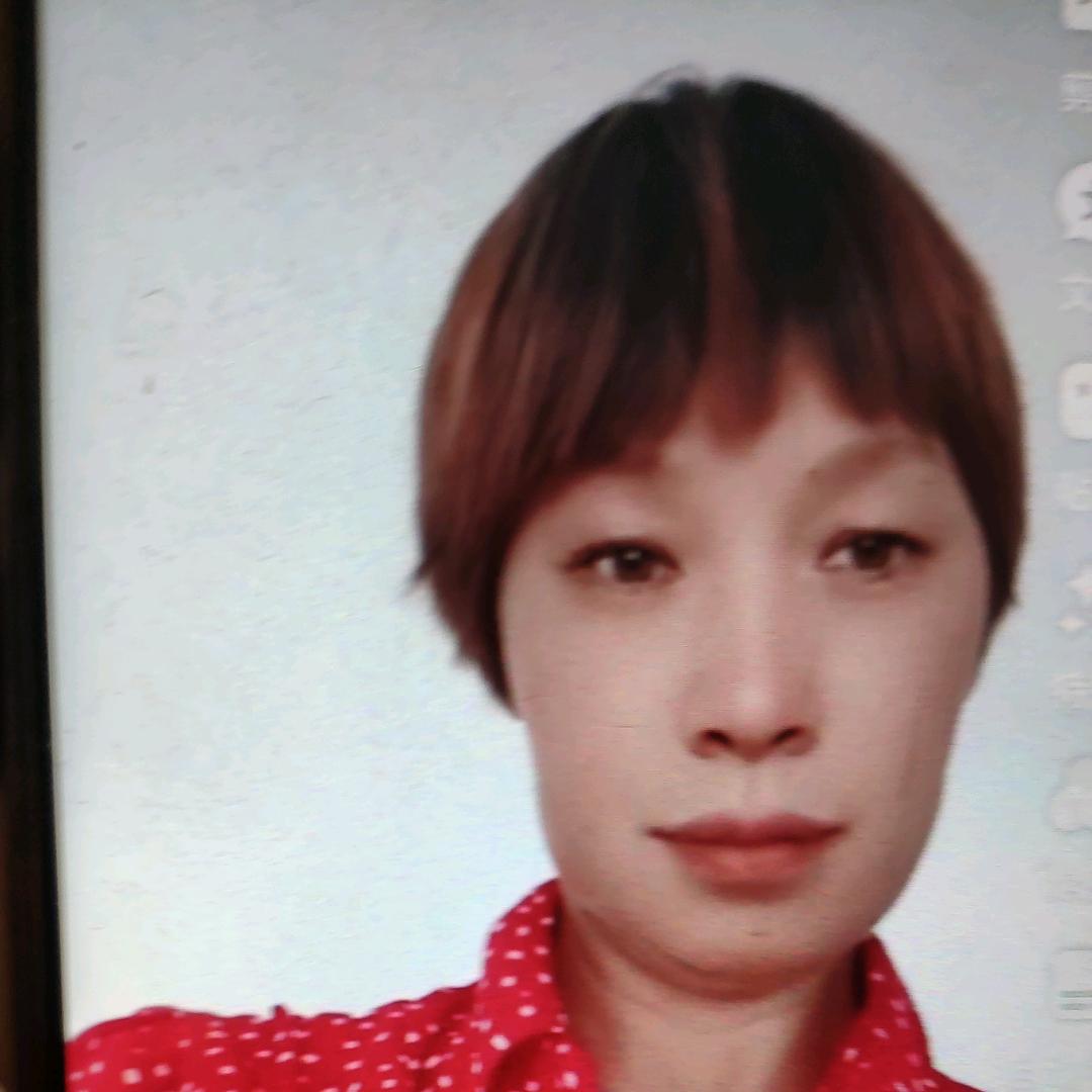 翠鸟