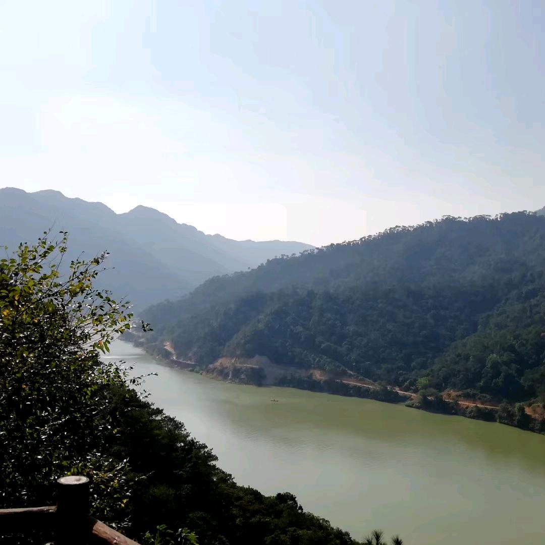 隔墙邻居