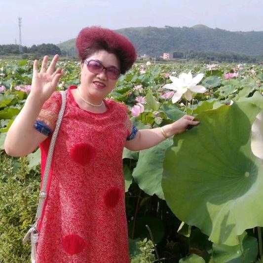 秀丽一朵花