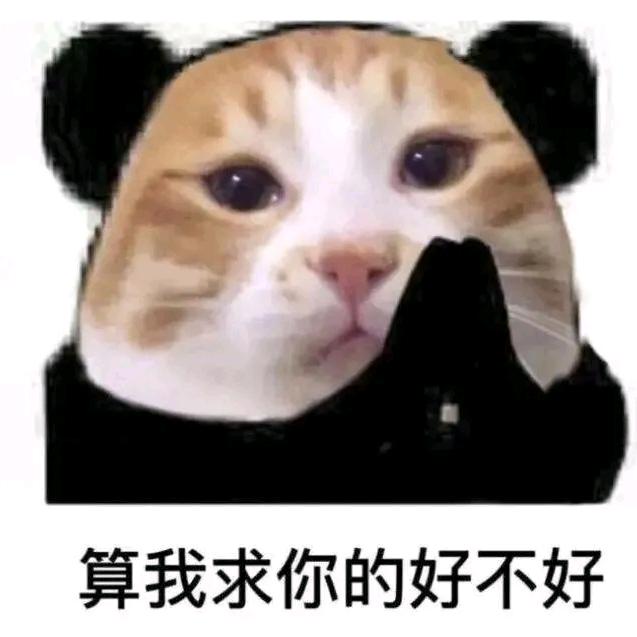 宝贝要干架