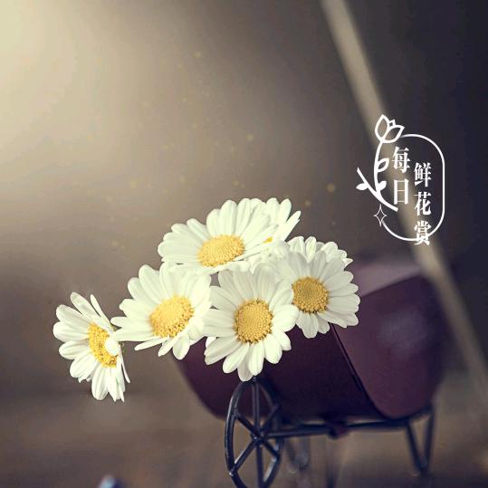 青青羊蝎子馆官方号