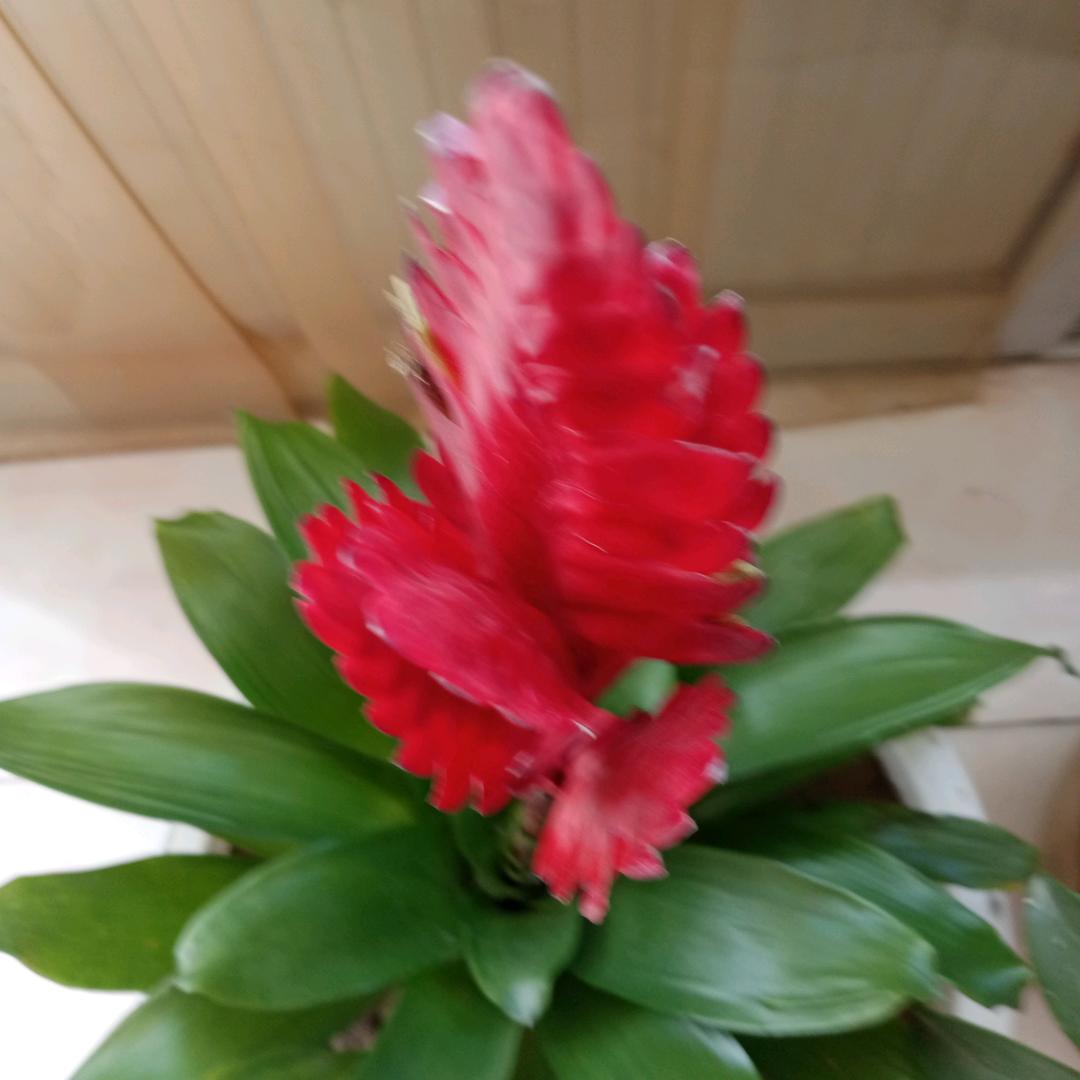 青春已过