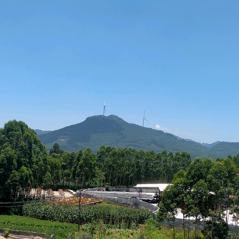 贵港市民朱先生