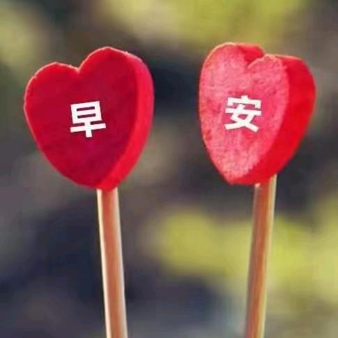 什么鬼