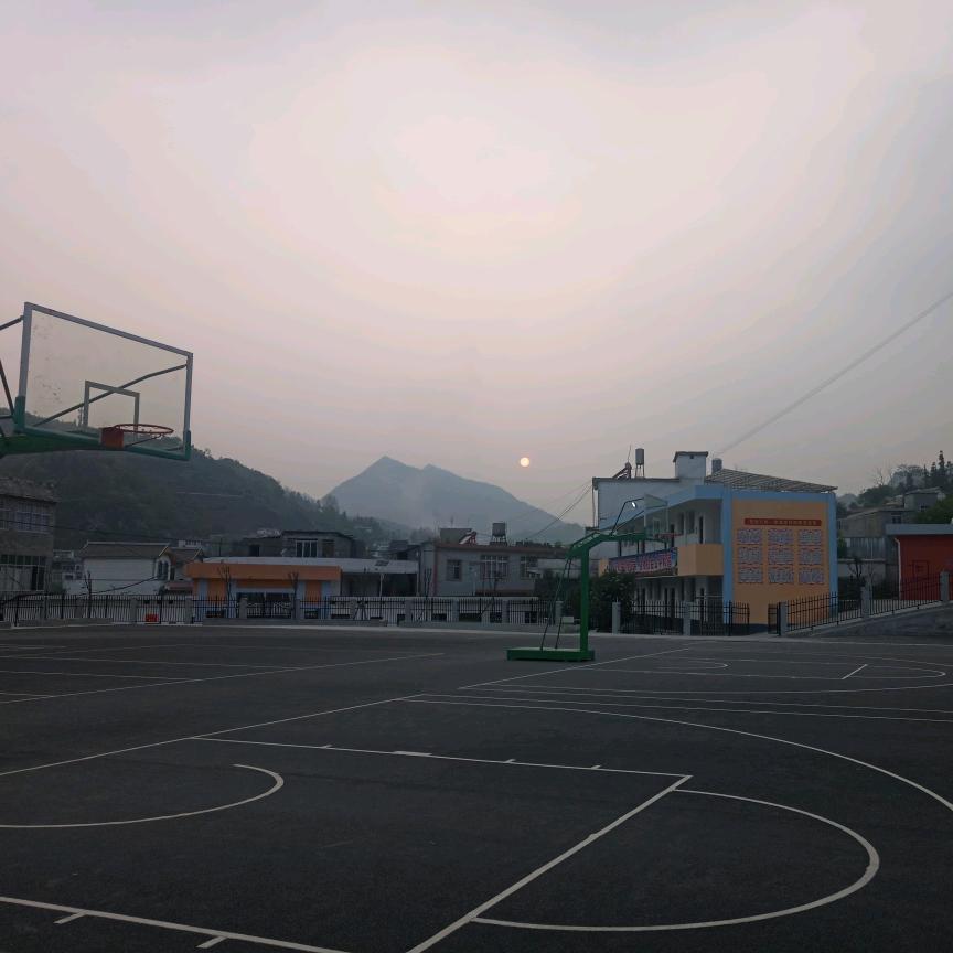 金大哥