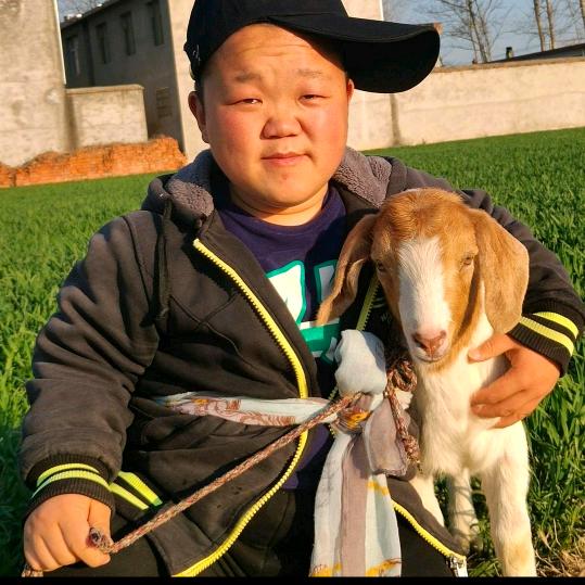 喂羊