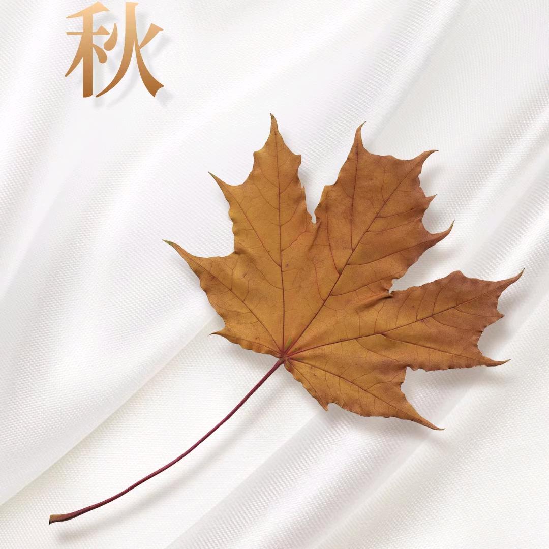 铝合金工艺制品  定制