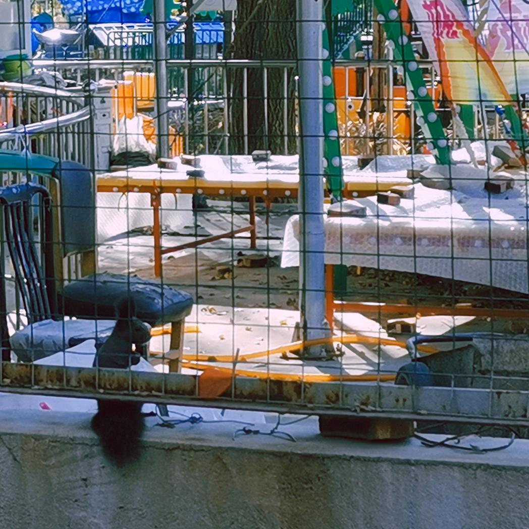 馋鬼的减肥日常