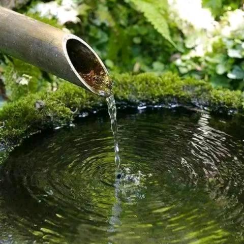 随缘