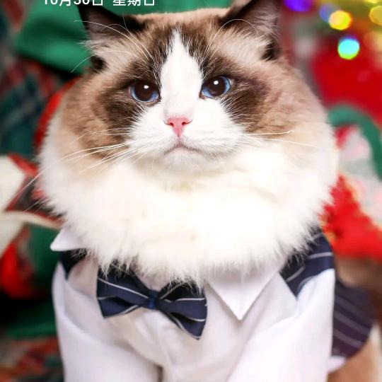 你若安好，便是晴天！