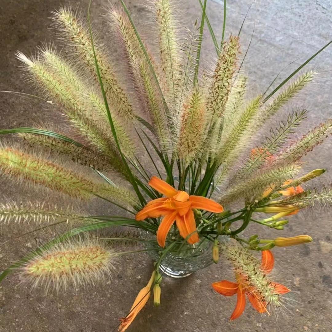 雪芬