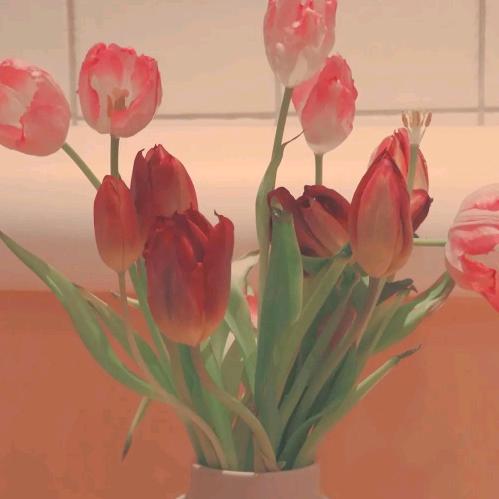 乌昂旺🌈🌈🌈