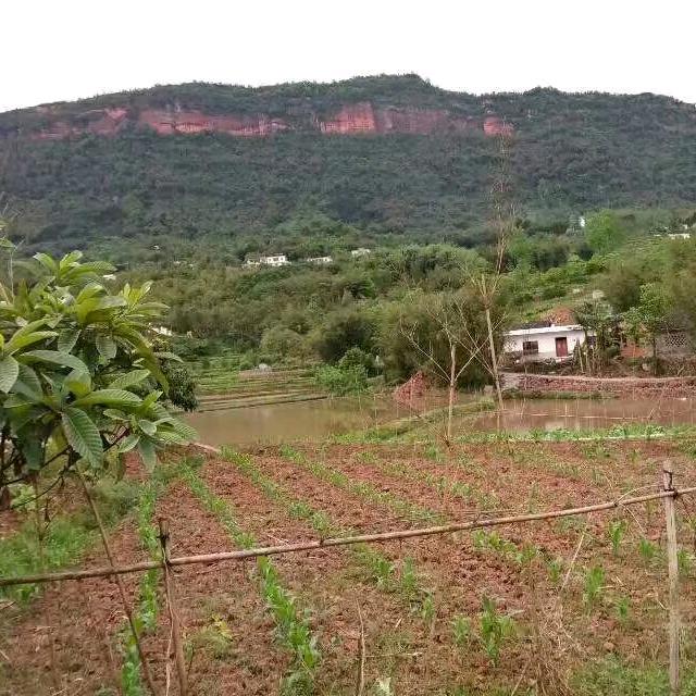连天山