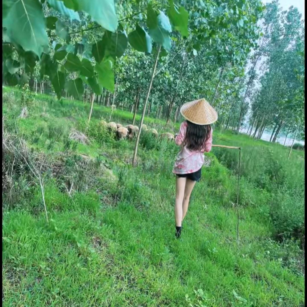 科索汽车配件经营部