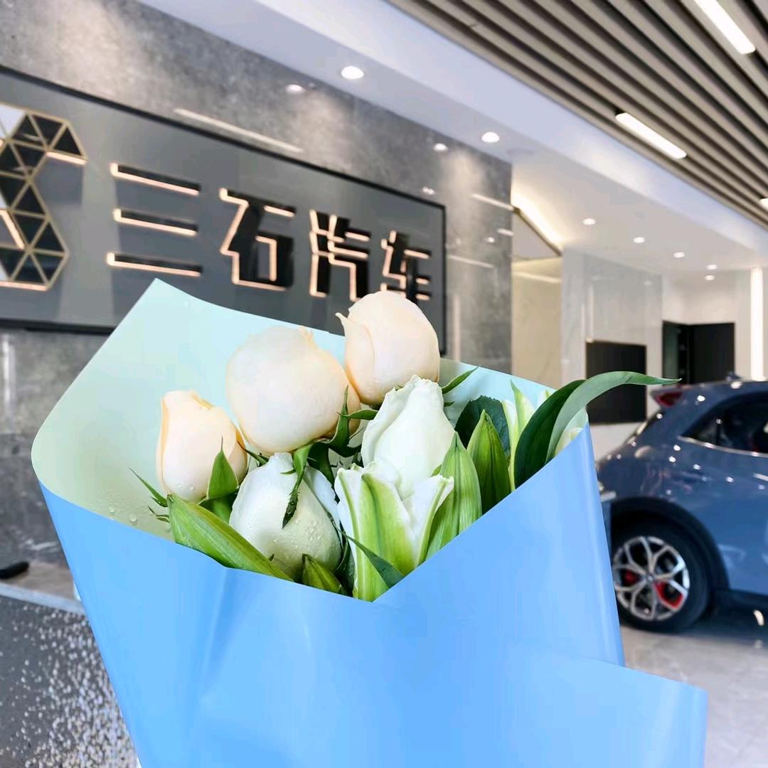 三石新能源汽车