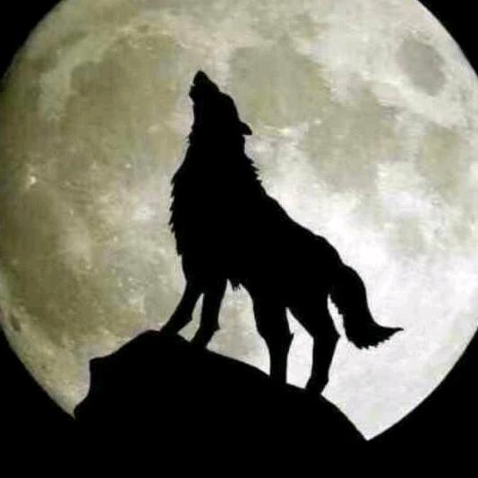 西安腾诚建材整屋定制