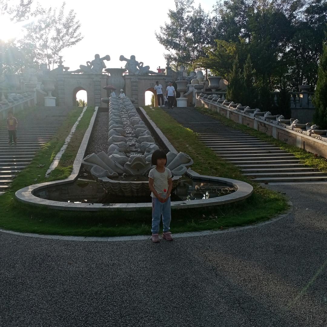 会飞的驹