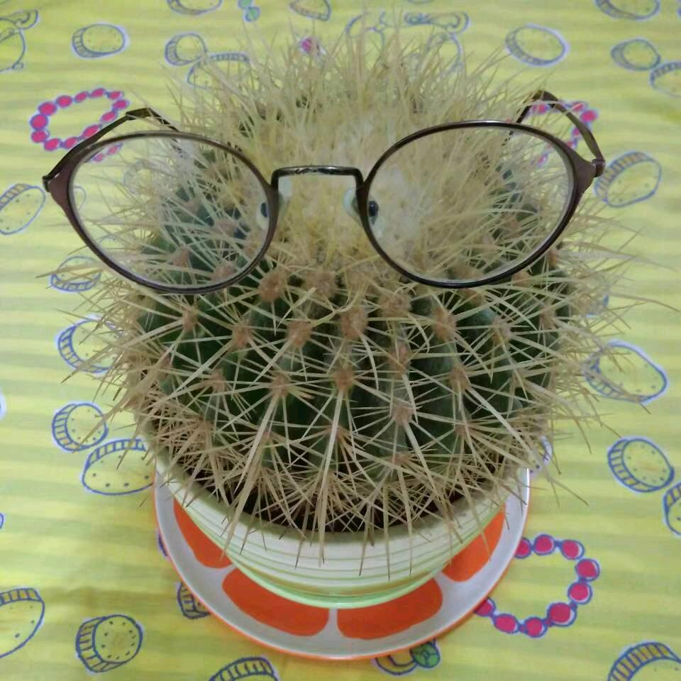 江小白