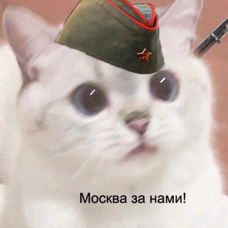 Груз200