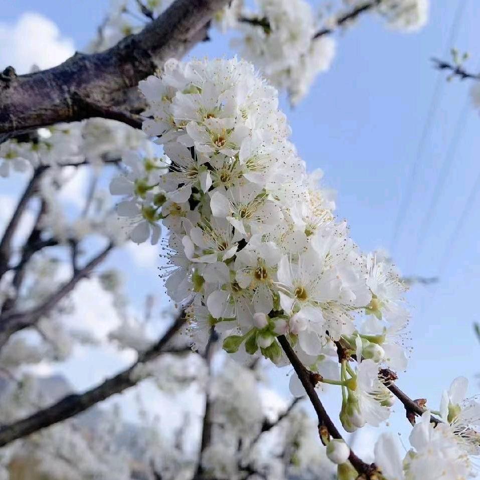 哈哈💞꧔ꦿ້໌ᮨ🕊࿐