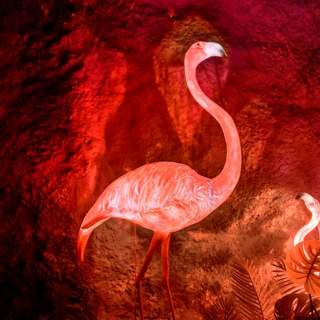 ໑ຼₒ₂₅ღ好运加满✨