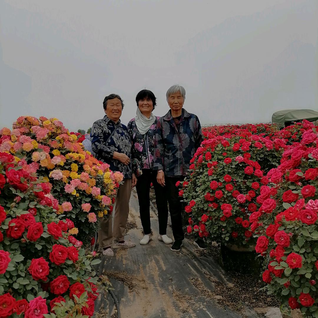 好运常在李*奶🌈