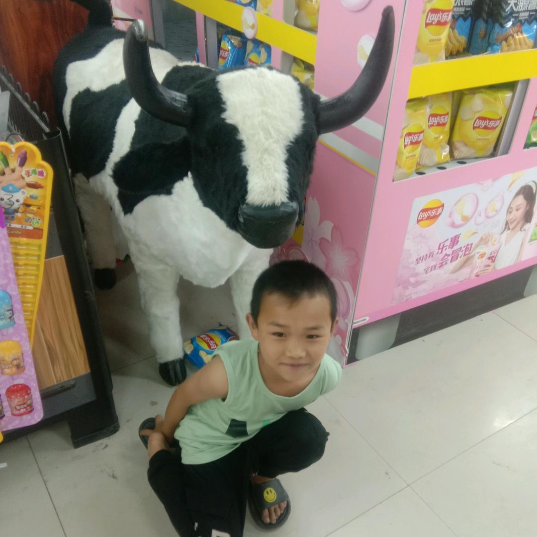 努力拼搏的人生