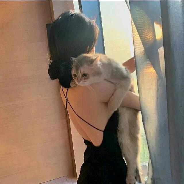 --王多鱼