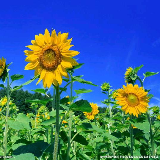 幸福的一家人☁️