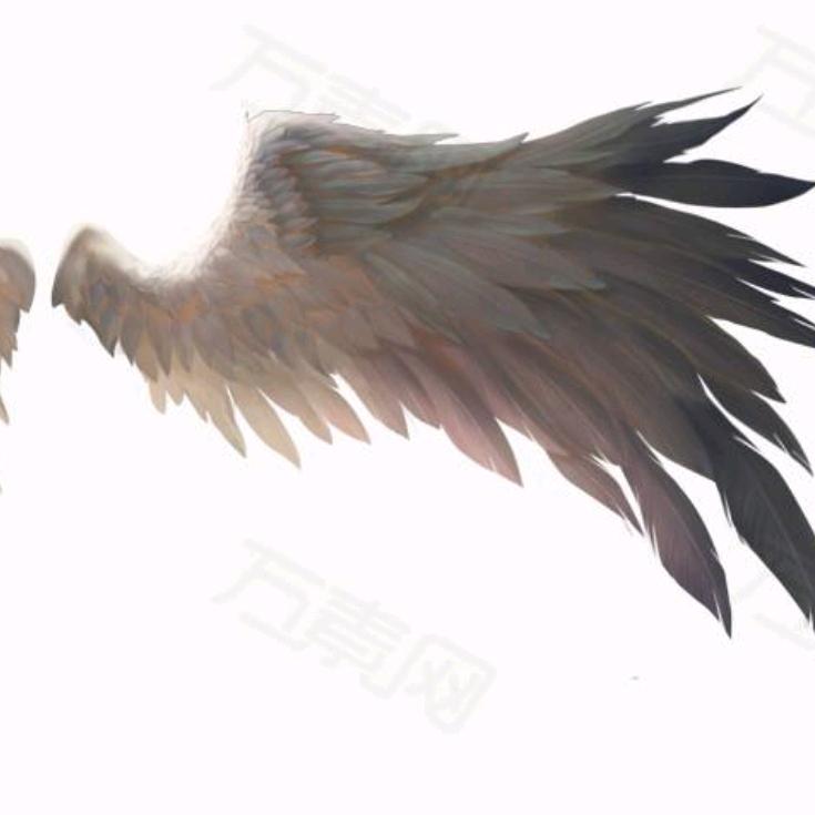 你说过平平淡淡