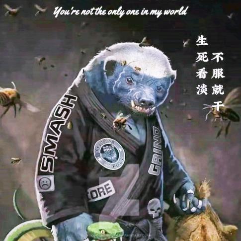 博