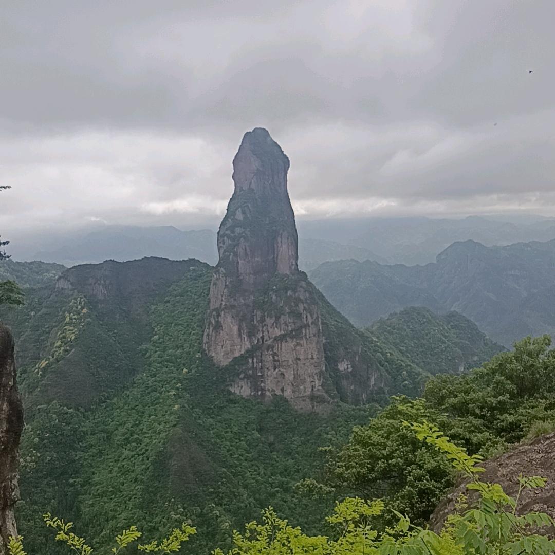 紫竹林