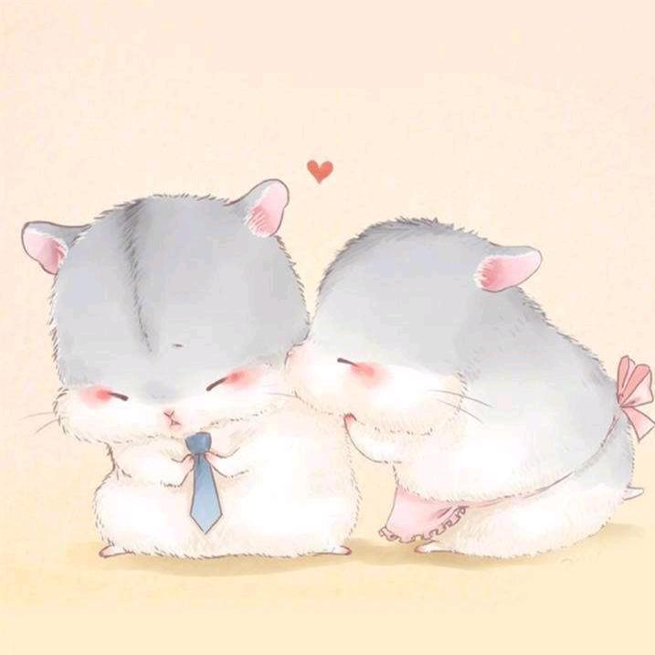 长发及腰借你上吊