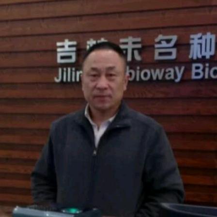 张维春