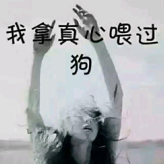 王事随风
