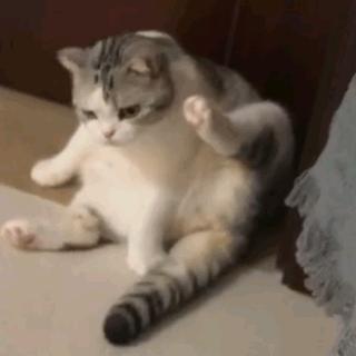 菠萝（命运方舟）