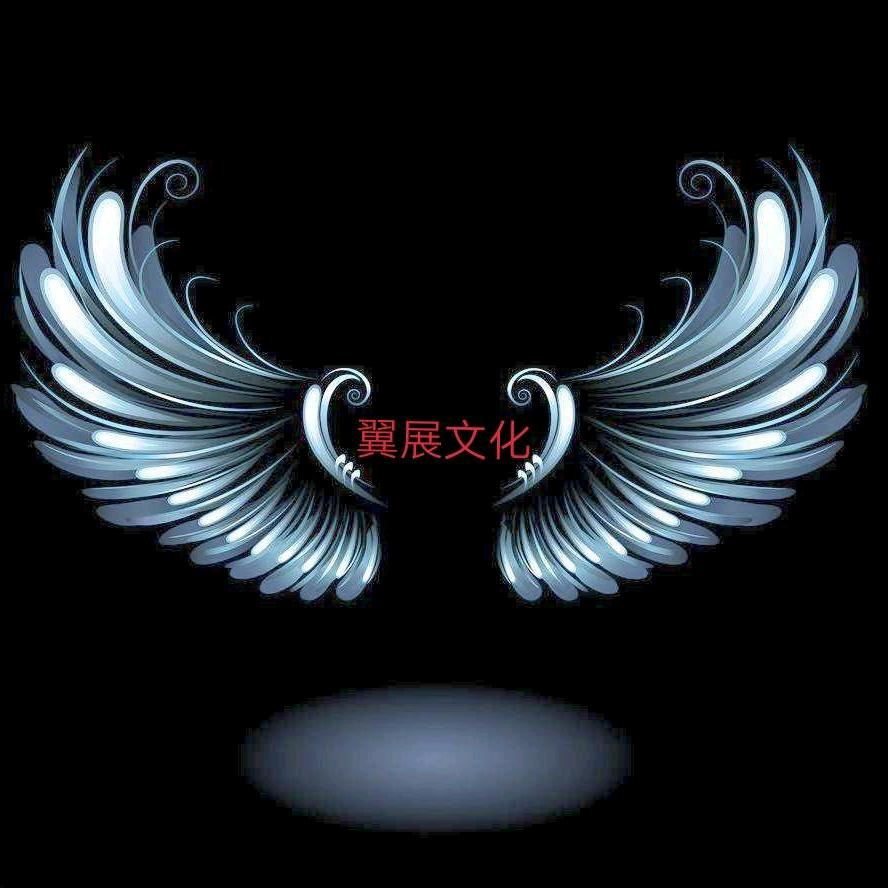 艺术人生国军