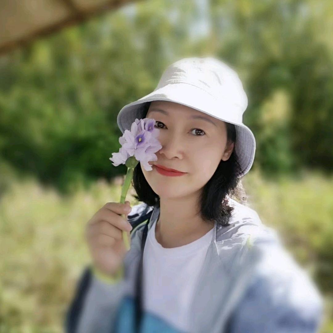爱的野蔷薇
