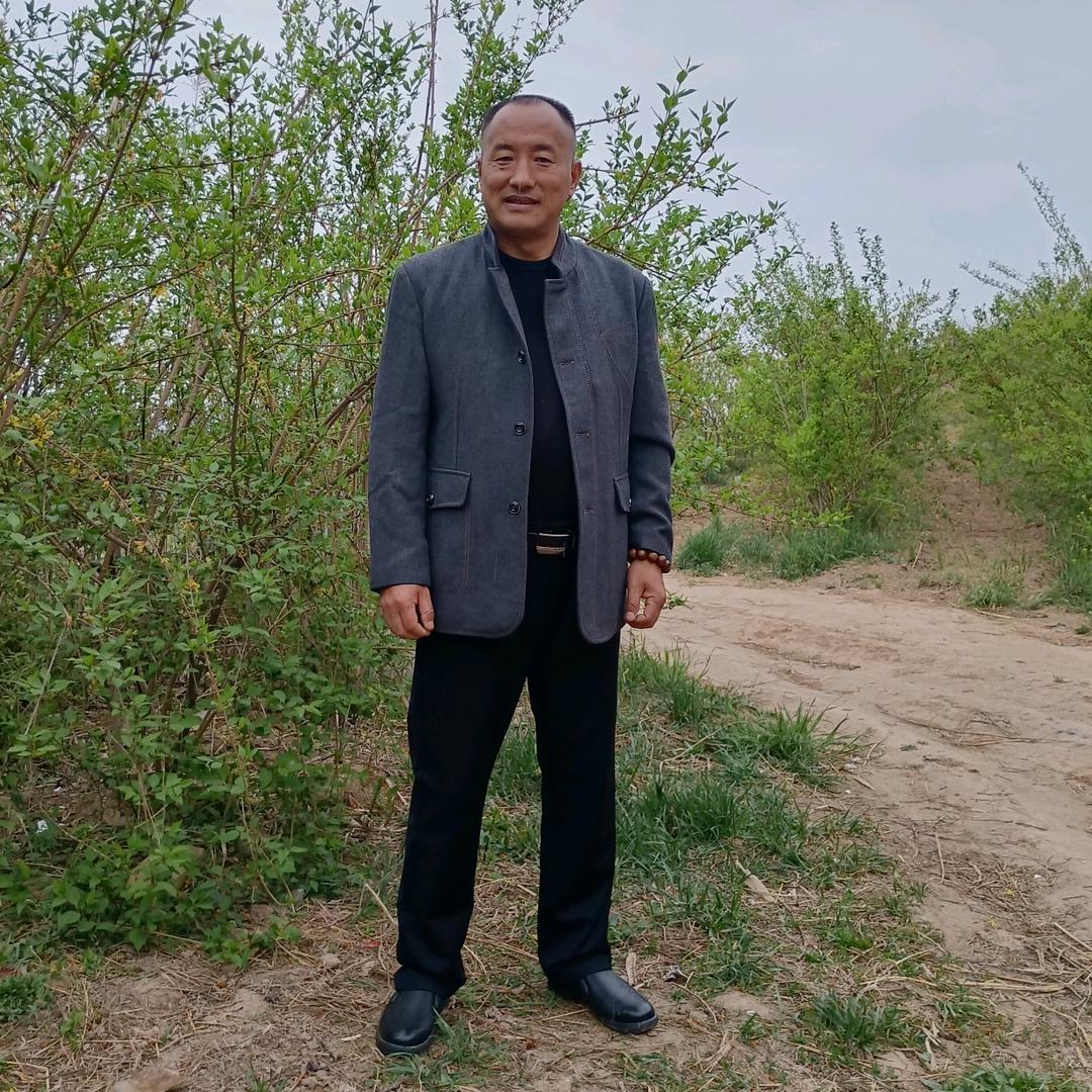 陕西旬邑千亩连翘生态种植基地
