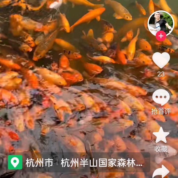 天天开心‘🍎2117