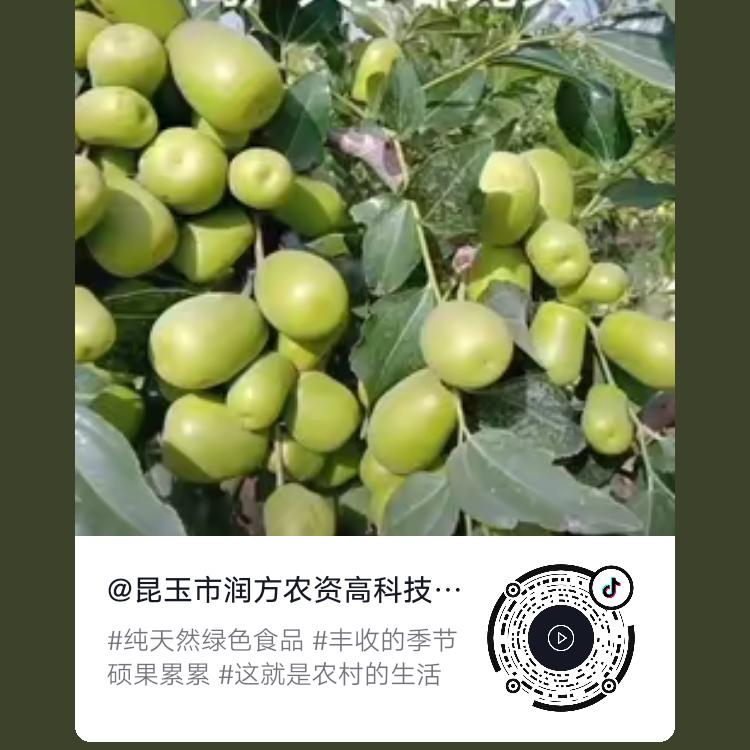 新彊昆玉市农资有限公司批发，大零售，新科