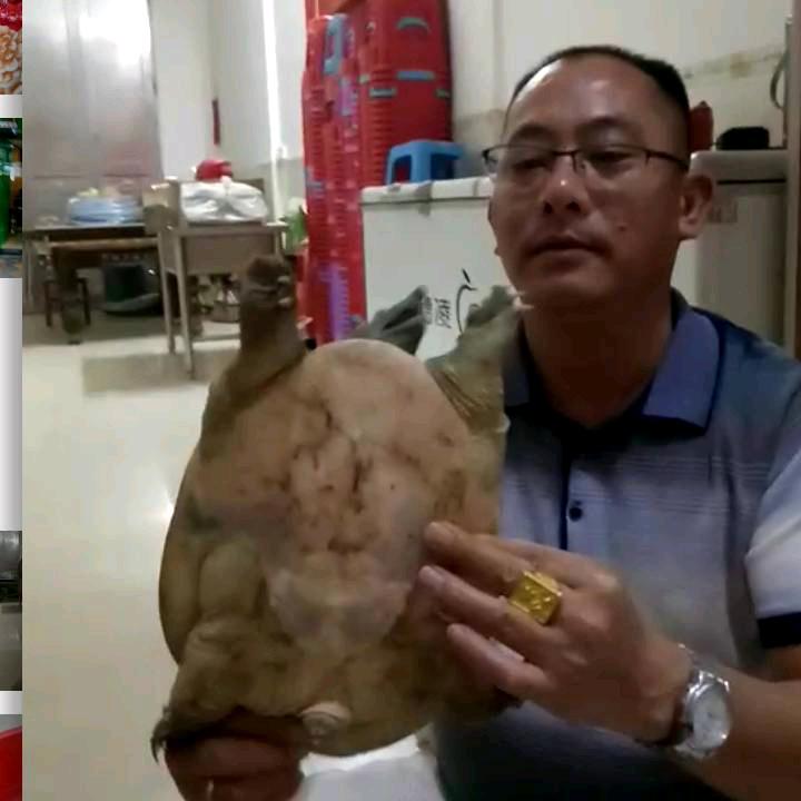 专业慢鼻炎