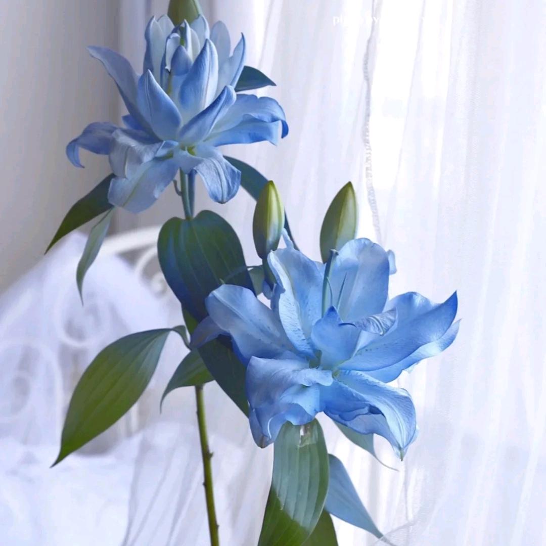 小花《母婴宝藏屋》