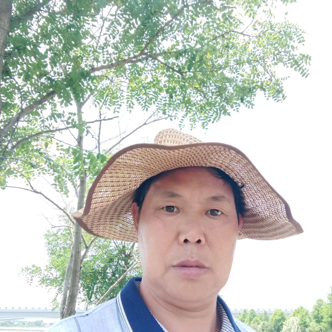 从头再来
