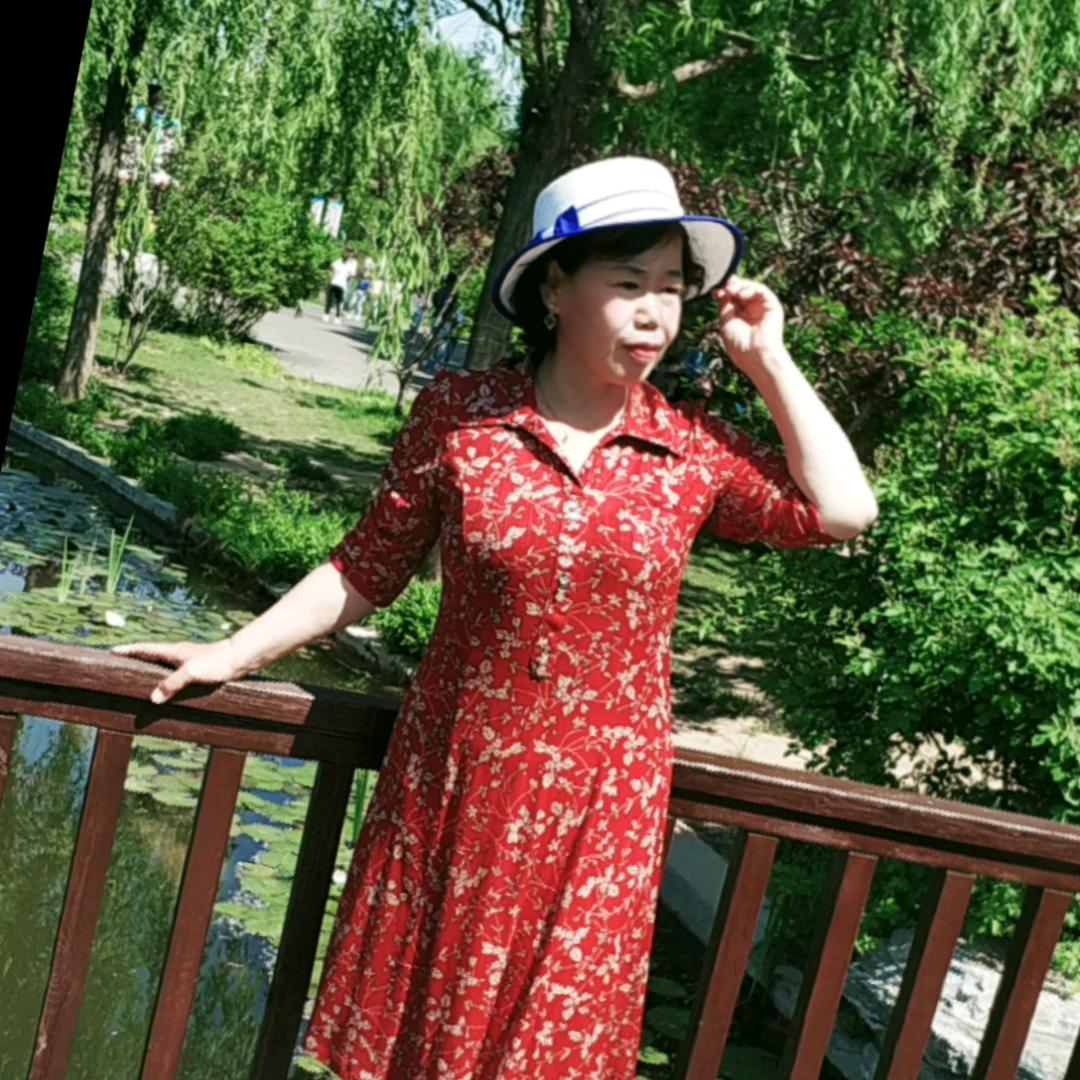 白楊